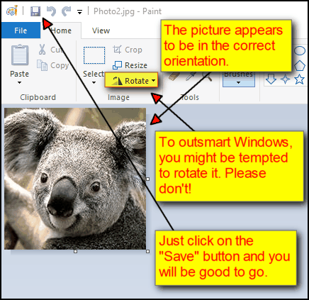 Picture in Paint not rotated