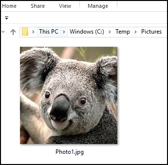 Picture appears to be not rotated in Windows 10