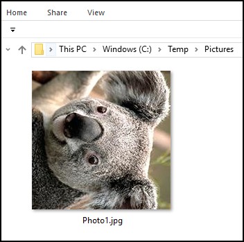 Picture rotated 90 degrees in Windows 7