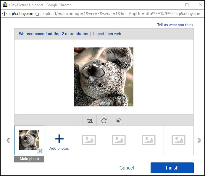 Picture rotated 90 degrees on foreign server