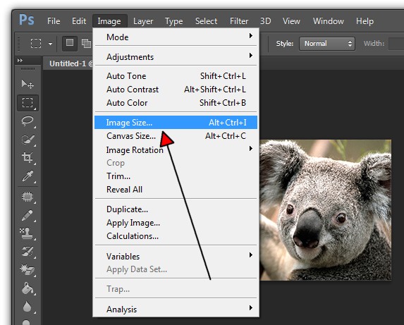 How to Resize an image in Pixlr
